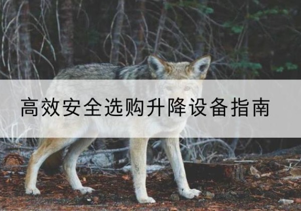 冠县升降货梯厂家推荐-*安全选购升降设备指南