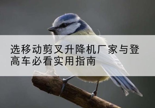 冠县电动升降机厂家-选移动剪叉升降机厂家与登高车必看实用指南