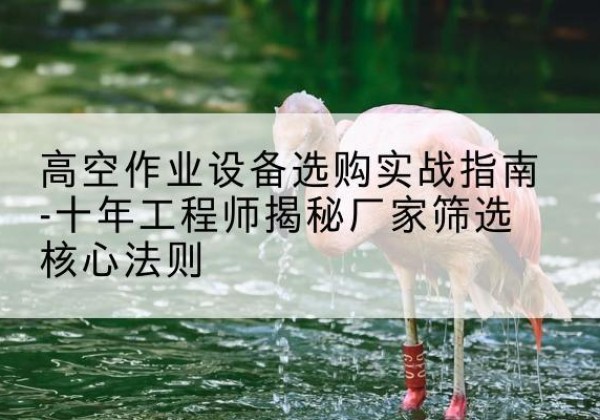 冠县剪叉式升降机厂家-高空作业设备选购实战指南-十年工程师揭秘厂家筛选核心法则
